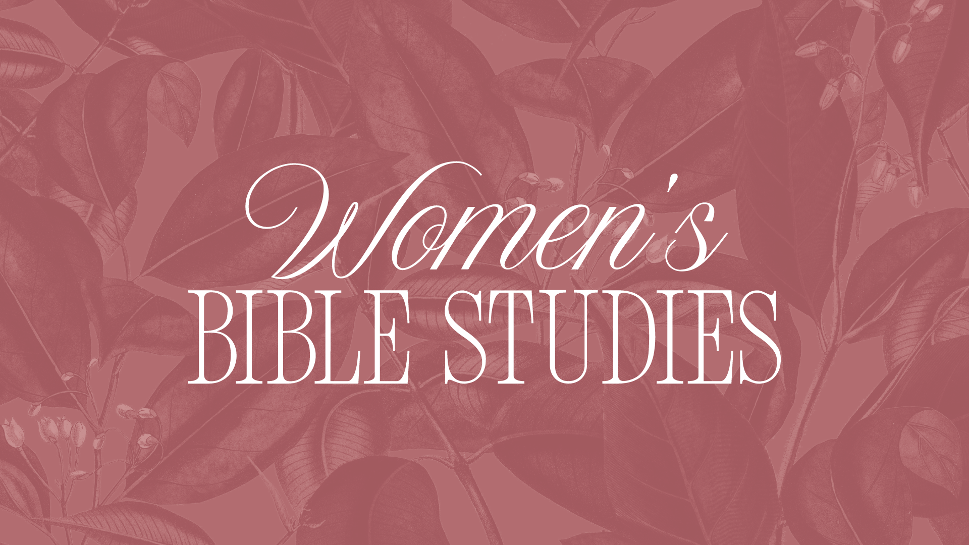 Women's Bible Study: Fall 2024 Wed AM · College Park Church
